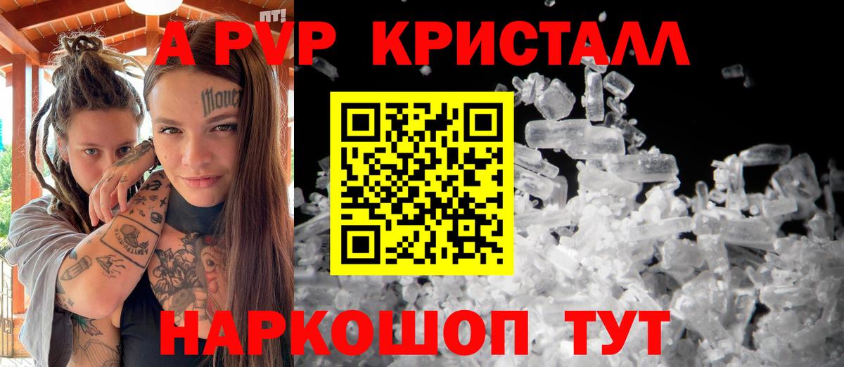 Альфа ПВП СК Губкинский