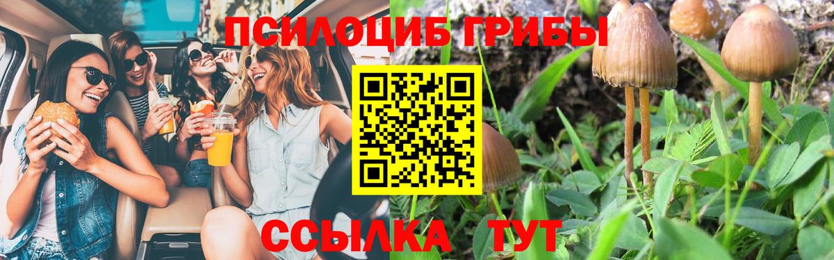 Псилоцибиновые грибы мухоморы  Вход с VPN  закладка  Губкинский 
