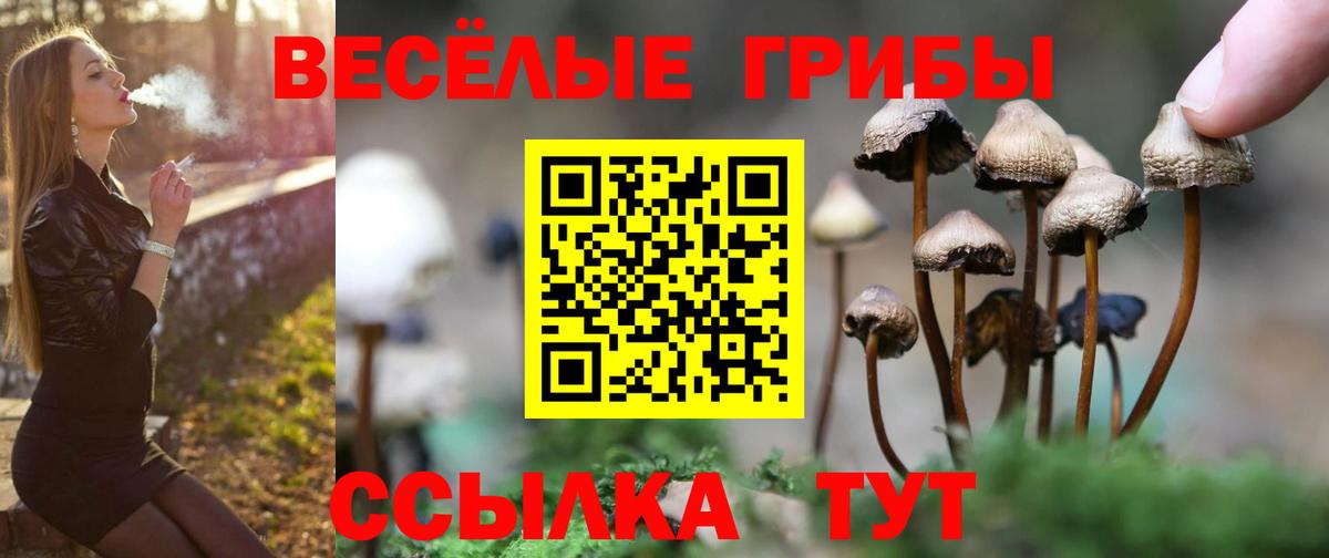 Псилоцибиновые грибы Magic Shrooms Губкинский